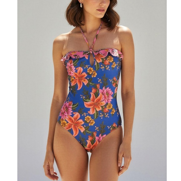FARM RIO Summer Fruit One Piece Swim, Blue, Medium - Picture 1 of 11
